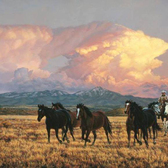 Meet your Posher, Connie - Picture 1 of 1